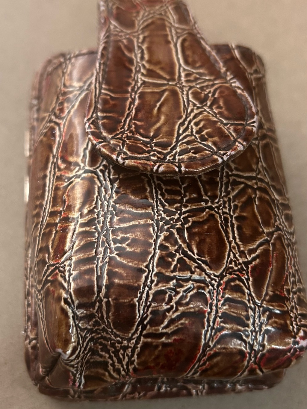 Glossy Brown Croc-Embossed Phone Pouch By Metropolitan